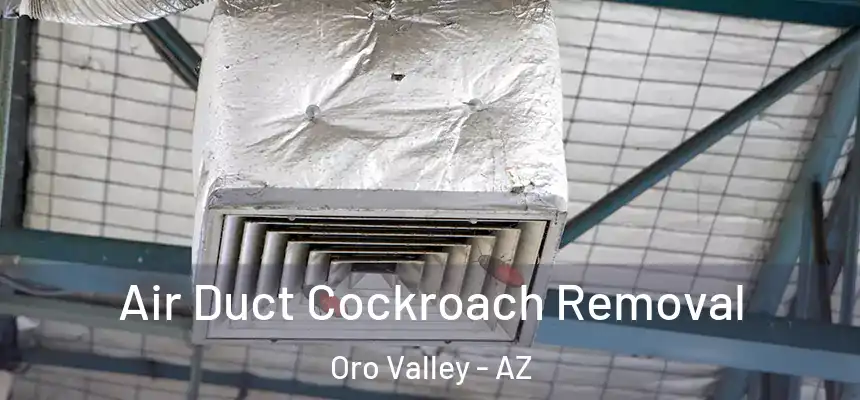 Air Duct Cockroach Removal Oro Valley - AZ