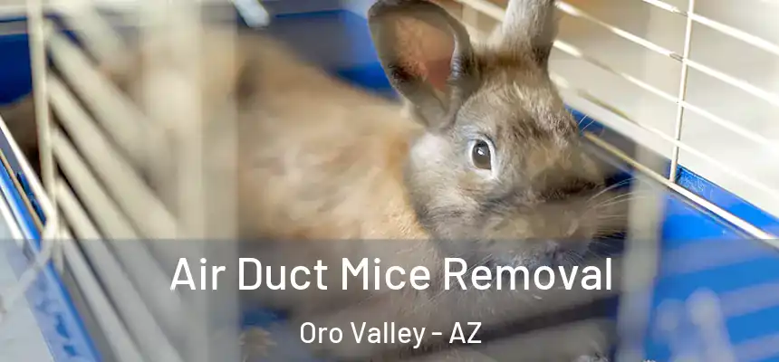  Air Duct Mice Removal Oro Valley - AZ