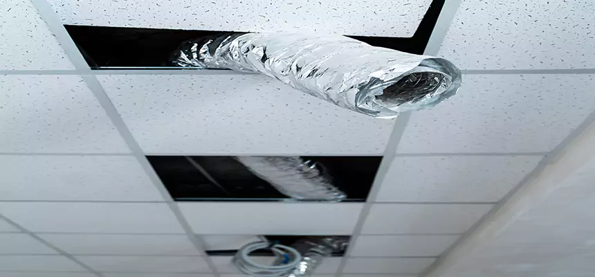 Our Air Duct Pet Hair Removal Services in Oro Valley, AZ