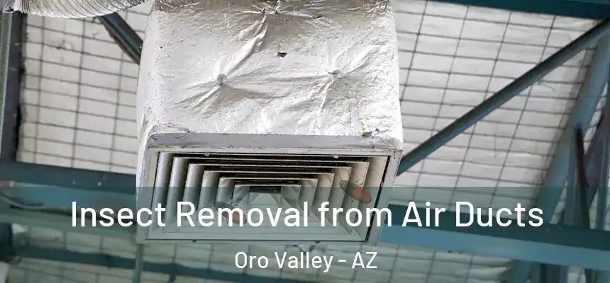  Insect Removal from Air Ducts Oro Valley - AZ