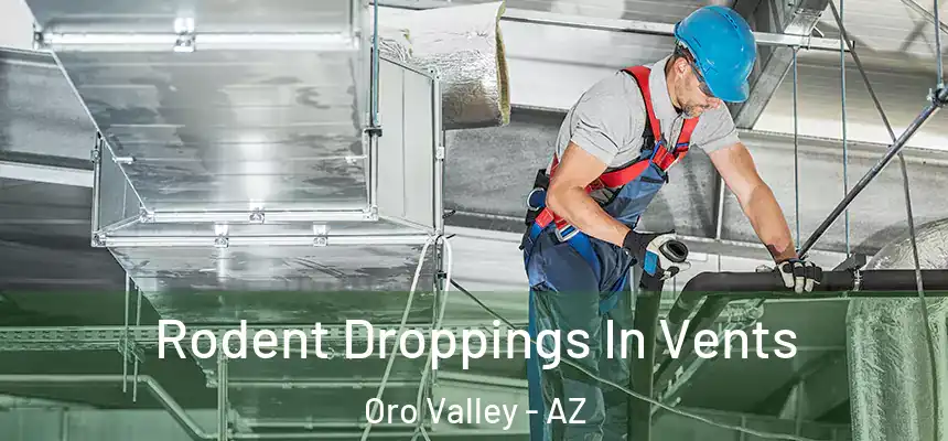 Rodent Droppings In Vents Oro Valley - AZ