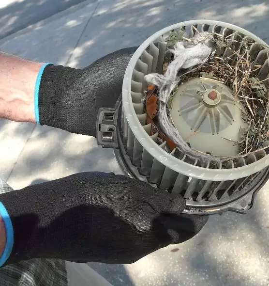 About Air Duct Rat Removal in Oro Valley, AZ