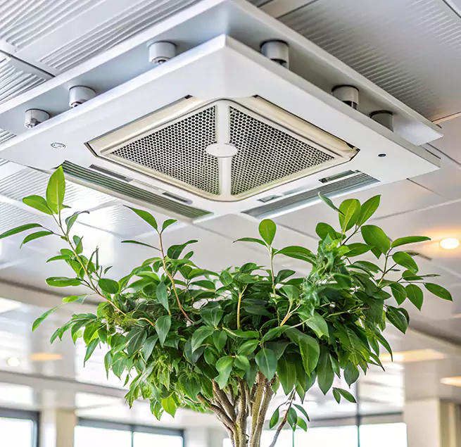 Why Homeowners & Businesses Trust Us in Oro Valley, AZ?